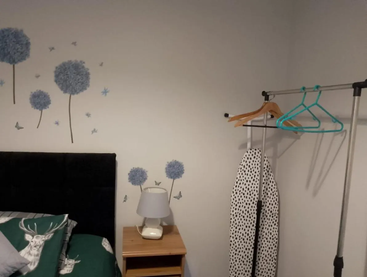 Maire Toireasa - Cosy Refurbished Property In The Gaeltacht Quarter Belfast 0*,  United Kingdom